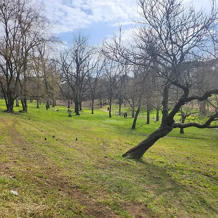 Apartment Charming Near Borghese
